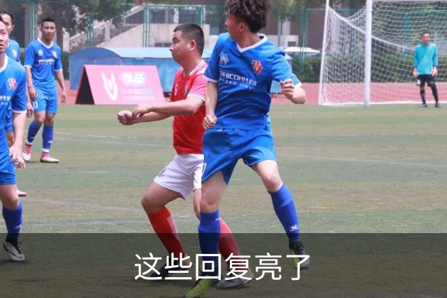 这些回复亮了